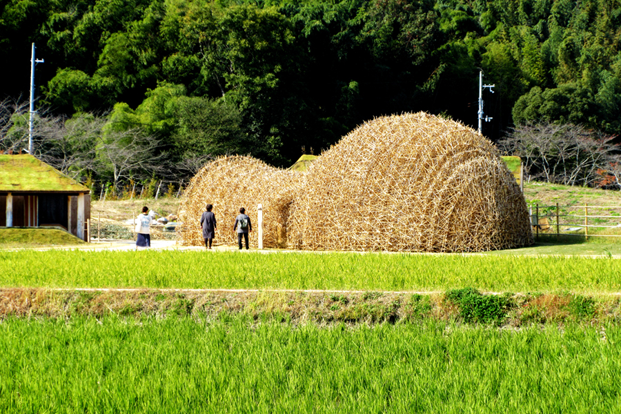 Reed Dome | ヨシドーム