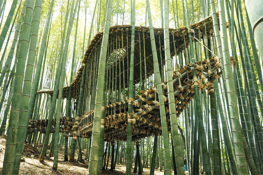 Bamboo Dino | 竹古竜