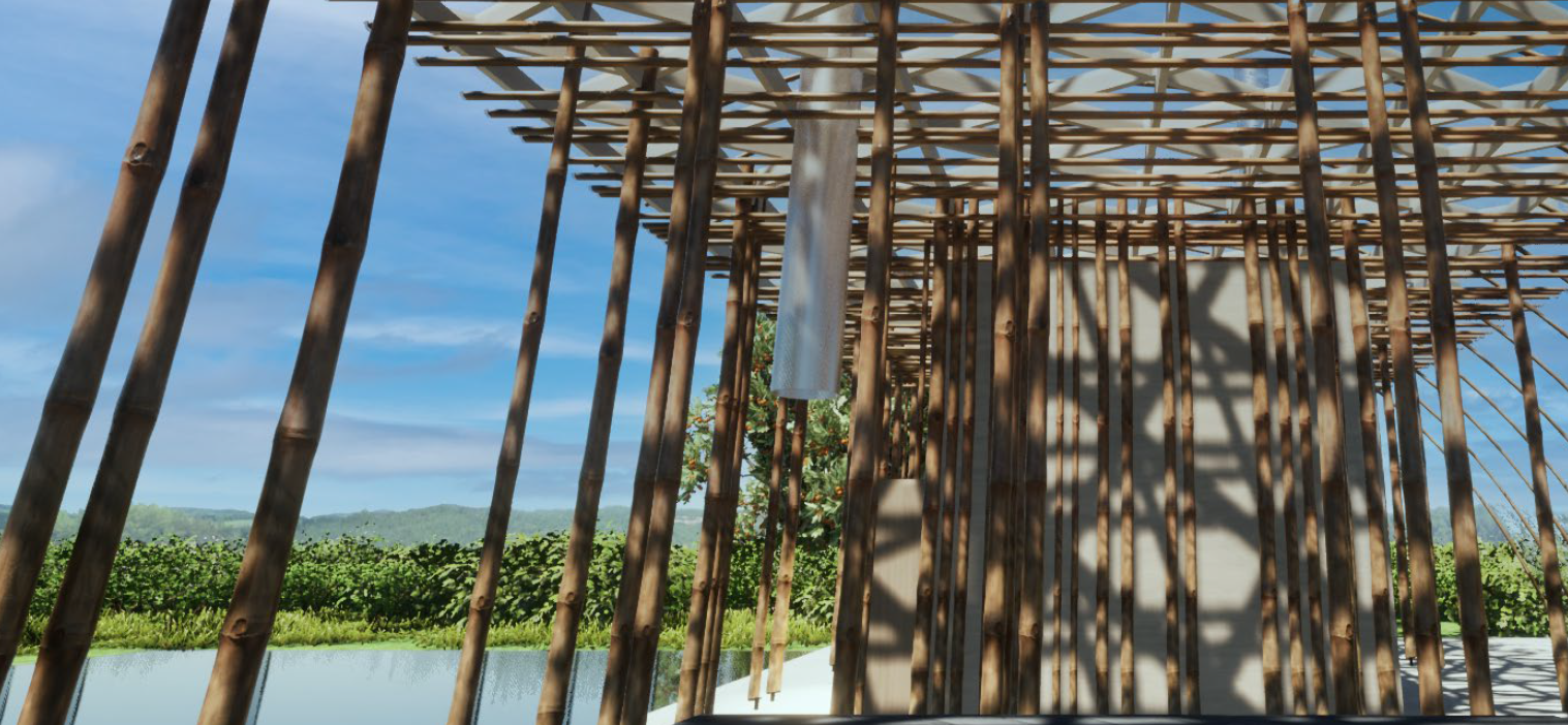 Living in a Bamboo Grove | 竹林に棲む