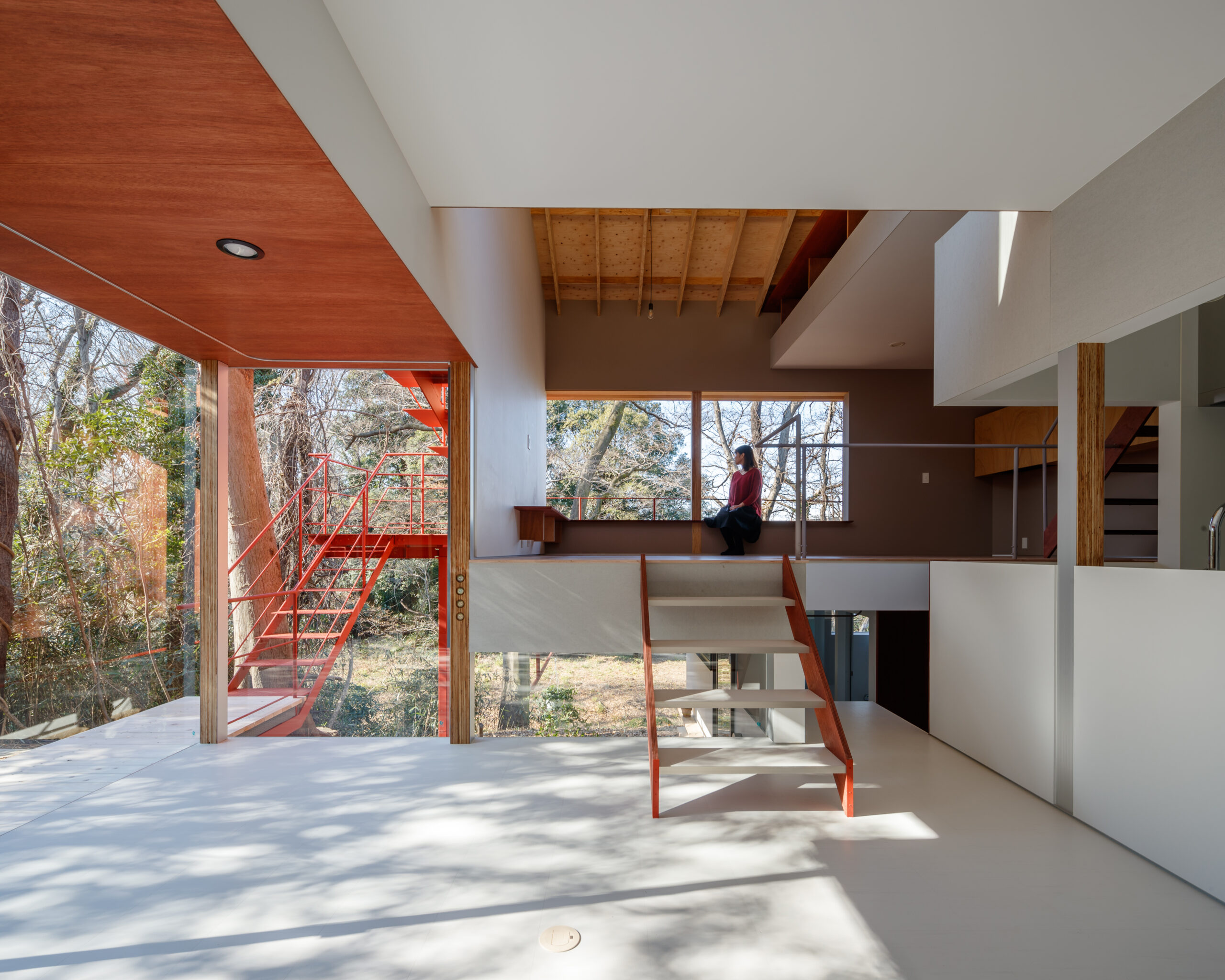 Eagle Woods House